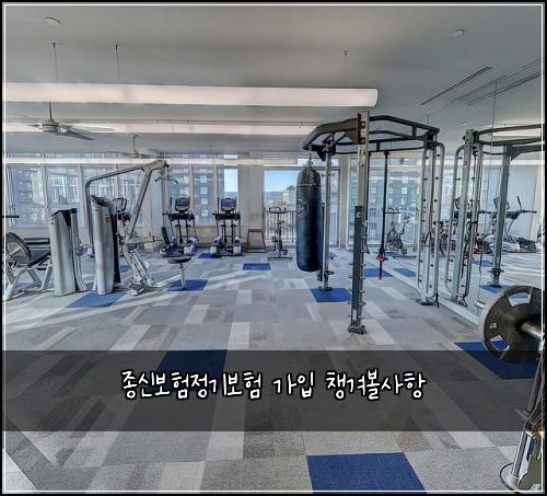종신보험정기보험 가입 챙겨볼사항