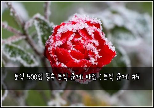 토익 500점 필수 토익 문제 배점 : 토익 문제 #5