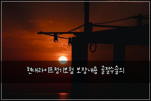 현대라이프정기보험 보장내용  골절수술의