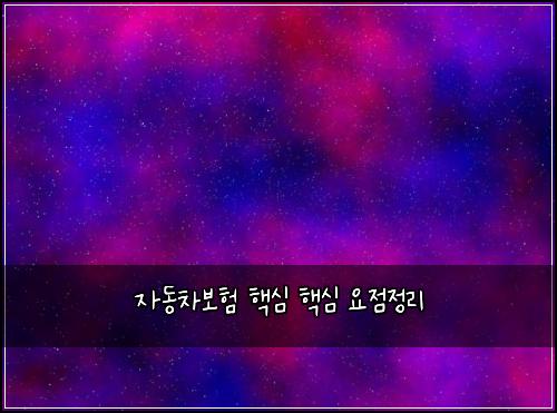 자동차보험 핵심  핵심 요점정리