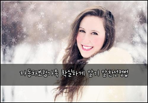 자동차보험가족 확실하게 알기 알찬선정법