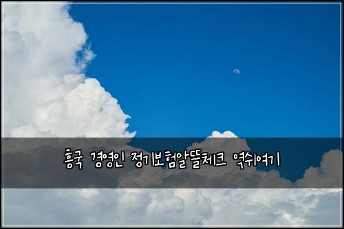 ํฅ๊ตญ ๊ฒฝ์์ธ ์ ๊ธฐ๋ณดํ์๋ฐ์ฒดํฌ ์ญ์ฌ์ฌ๊ธฐ