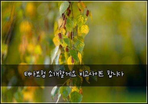 태아보험 소개할게요  비교사이트 합니다