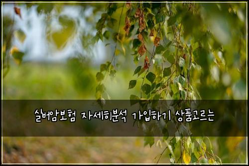 실버암보험 자세히분석  가입하기 상품고르는