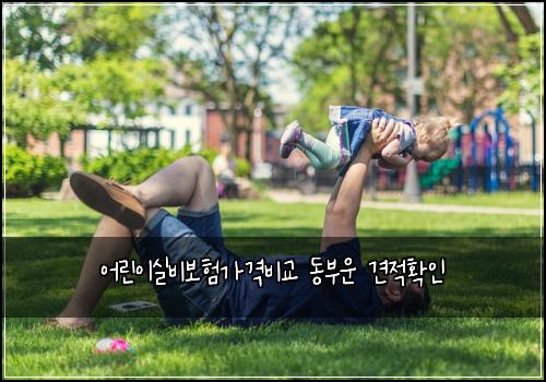 어린이실비보험가격비교 동부운 견적확인