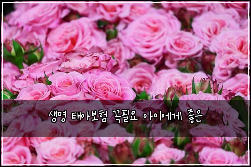 생명 태아보험 꼭필요  아이에게 좋은