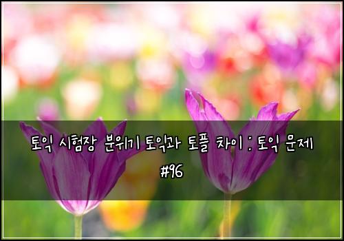 토익 시험장 분위기 토익과 토플 차이 : 토익 문제 #96