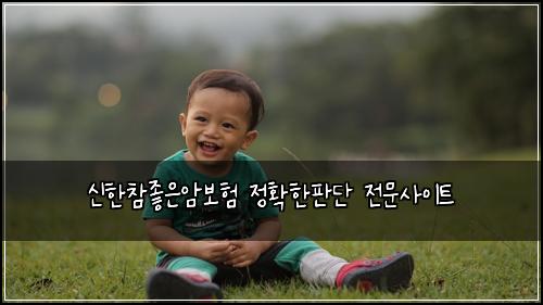 신한참좋은암보험 정확한판단  전문사이트