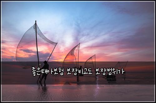 좋은태아보험 보장비교도  보장범위가