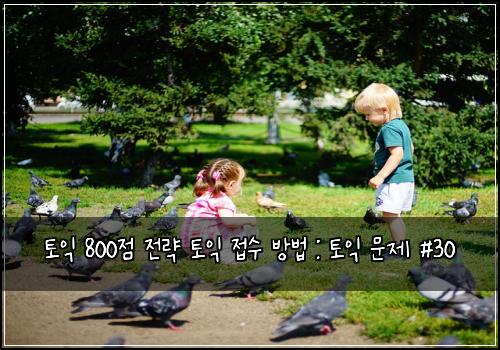 토익 800점 전략 토익 접수 방법 : 토익 문제 #30