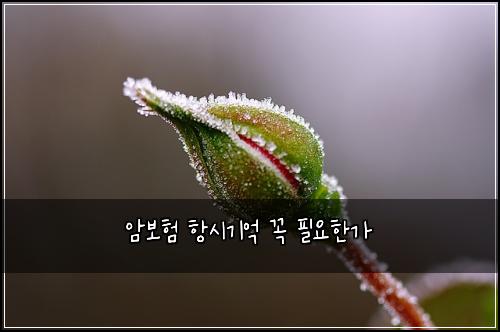 ์๋ณดํ ํญ์๊ธฐ์ต ๊ผญ ํ์ํ๊ฐ