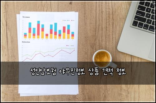 성인암보험 야무진정보  상품 견적 정보