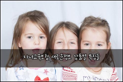 자녀교육보험 새로운정보  상품별 특징들