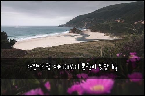 어린이보험 대비해보기  통원비 일당 lig
