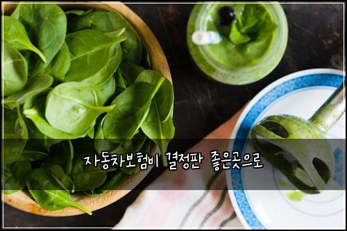 자동차보험비 결정판 좋은곳으로