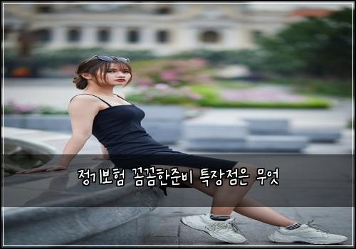 정기보험 꼼꼼한준비  특장점은 무엇