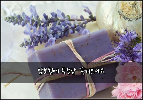 암보험에 특정암 꼭해보세요