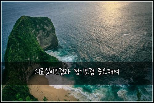 의료실비보험과 정기보험 중요해여