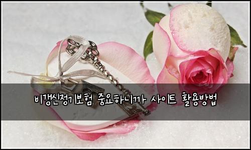 비갱신정기보험 중요하니까  사이트 활용방법