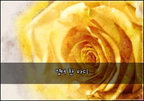 영어 한 마디