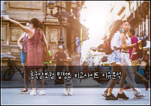 흥국암보험 팁정보  비교사이트 이유분석