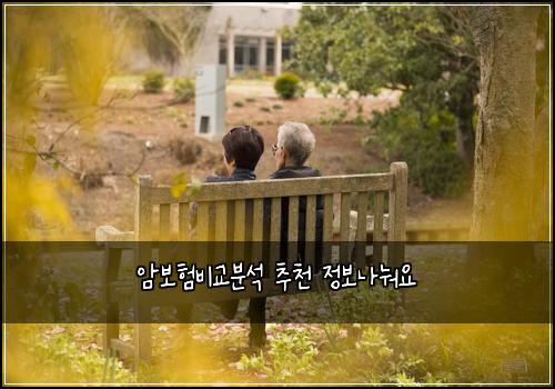암보험비교분석 추천 정보나눠요
