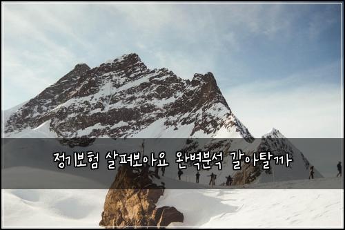 정기보험 살펴보아요  완벽분석 갈아탈까