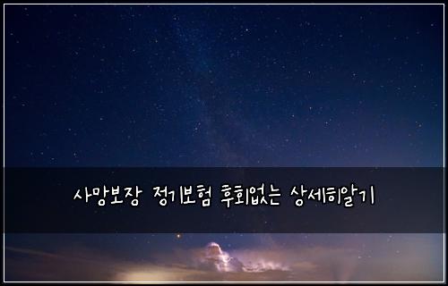 사망보장 정기보험 후회없는  상세히알기