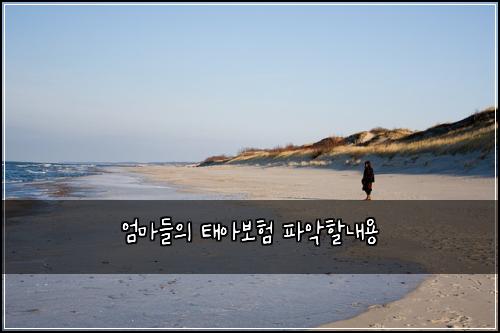 엄마들의 태아보험 파악할내용 
