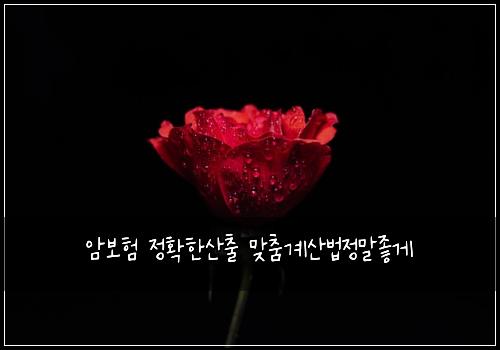 암보험 정확한산출  맞춤계산법정말좋게