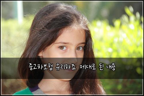 μ€κ³ 차보ν μ 리νμ£ μ λλ‘ λ λ΄μ©