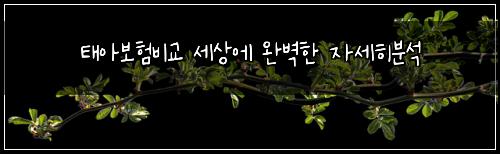 태아보험비교 세상에 완벽한 자세히분석