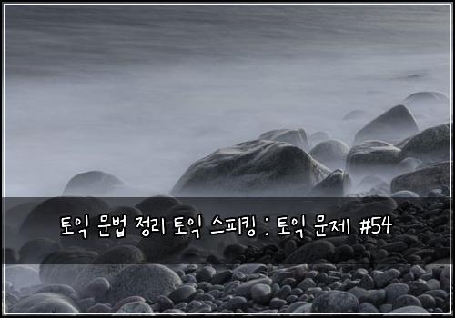 토익 문법 정리 토익 스피킹 : 토익 문제 #54