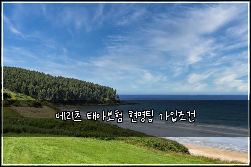 λ©λ¦¬μΈ νμ보ν νλͺ
ν κ°μ
쑰건