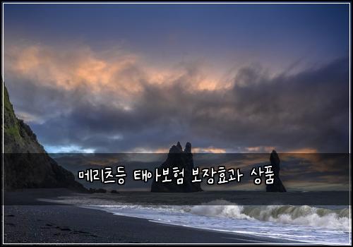 메리츠등 태아보험 보장효과  상품