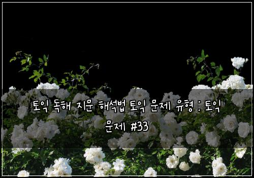 토익 독해 지문 해석법 토익 문제 유형 : 토익 문제 #33