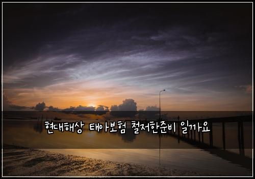현대해상 태아보험 철저한준비  일까요