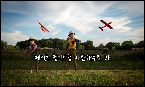 메리츠 정기보험 마련해두죠  과