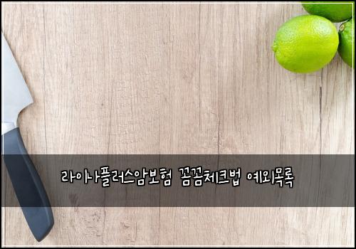 라이나플러스암보험 꼼꼼체크법  예외목록