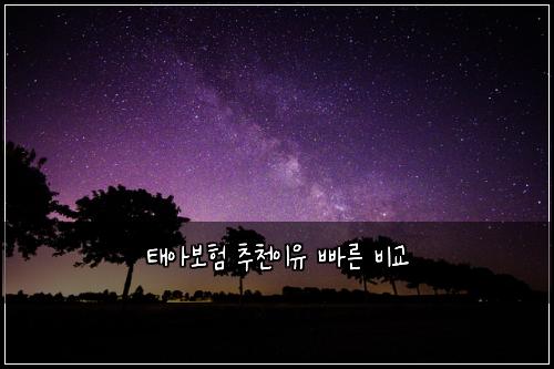 ํ์๋ณดํ ์ถ์ฒ์ด์ ๋น ๋ฅธ ๋น๊ต