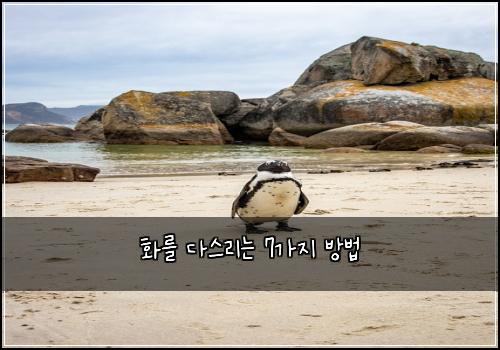 화를 다스리는 7가지 방법