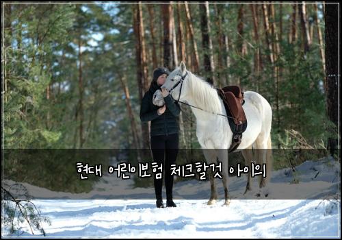 현대 어린이보험 체크할것  아이의