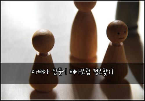 다태아 삼둥이 태아보험 정보찾기 