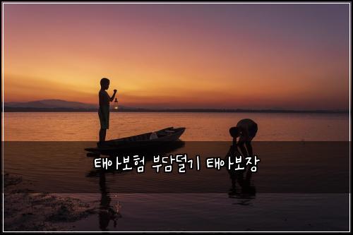 태아보험 부담덜기  태아보장