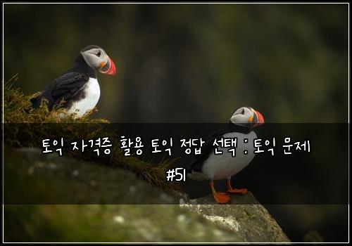 토익 자격증 활용 토익 정답 선택 : 토익 문제 #51