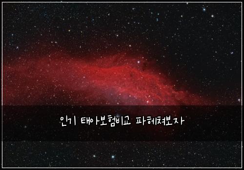 인기 태아보험비교 파헤쳐보자