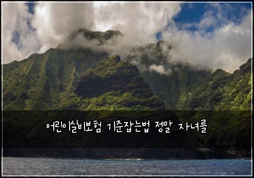 어린이실비보험 기준잡는법  정말 자녀를