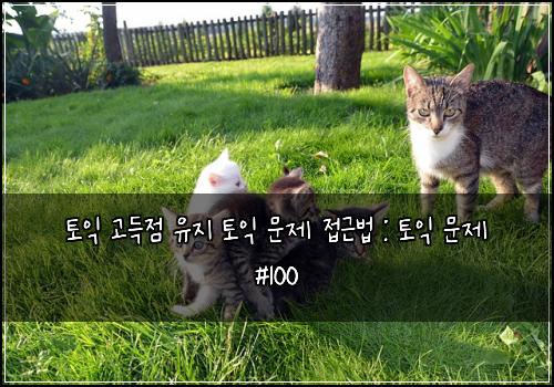 토익 고득점 유지 토익 문제 접근법 : 토익 문제 #100