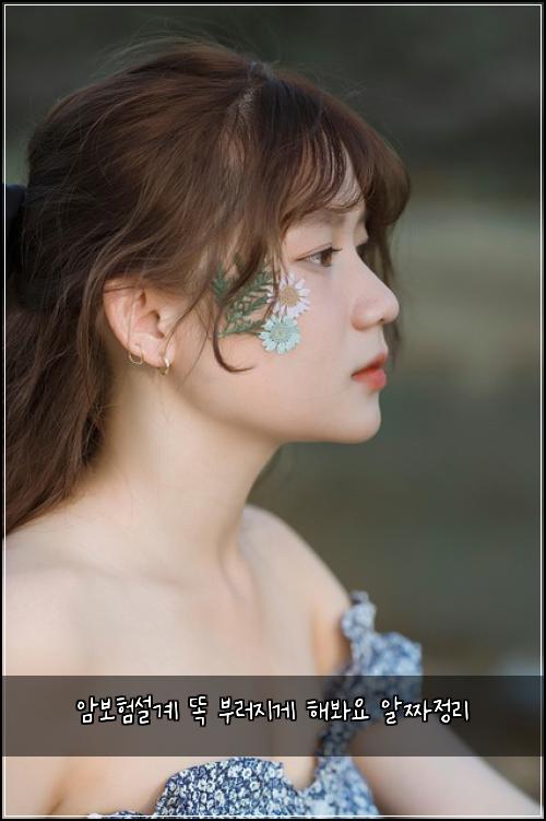 암보험설계 똑 부러지게 해봐요 알짜정리