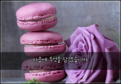 마음에 무엇을 담겠습니까